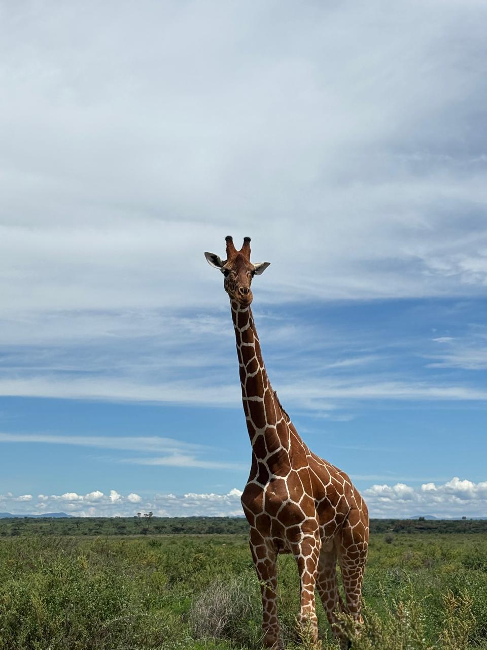 Tsavo East National Park